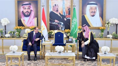 الرئيس السيسي وبن سلمان: المساعدات الإنسانية لغزة خط أحمر