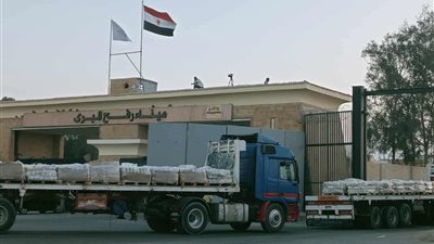 عبور 10 شاحنات مساعدات إماراتية عبر معبر رفح متجهة إلى قطاع غزة