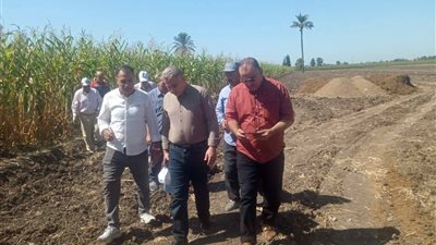 رئيس الإدارة المركزية للمكافحة يتفقد الزراعات الصيفية بالبحيرة