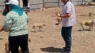 مدن دمياط تنفيذ أعمال إستراتيجية 