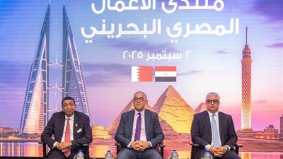 جمال الدين: جذب 311 مشروعًا باستثمارات 10.2 مليارات دولار في 38 شهرًا