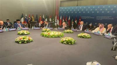 اللجنة العربية الإسلامية: نرفض تهجير الفلسطينيين تحت أي مسمى