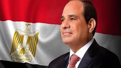 الرئيس السيسي: المشهد الدولي بات غارقا في ازداوجية فاضحة في المعايير
