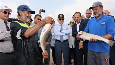 رئيس قناة السويس يتابع أكبرمشروع للاستزراع السمكي في الشرق الأوسط