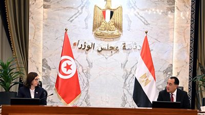 مدبولى يؤكد أهمية تنمية الاستثمارات المشتركة بين مصر وتونس