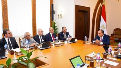 وزير الخارجية يطالب بتعزيز قنوات التواصل مع الجاليات المصرية بالخارج