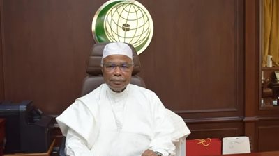 أمين التعاون الإسلامي:تنفيذ حل الدولتين وأخذ موقف موحد من إسرائيل