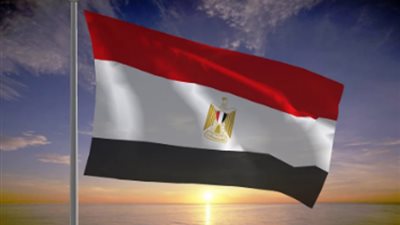 مصر تدين العملية العسكرية الإسرائيلية في مدينة غزة