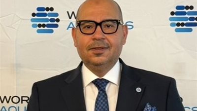 إدريس يهنئ أبو ريدة بعد تزكيته نائبًا أول لرئيس الاتحاد العربي لكرة القدم