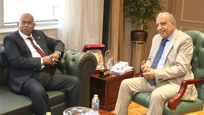عصمت:الربط مع السودان جسر عبور طاقة إفريقيا الى أوروبا