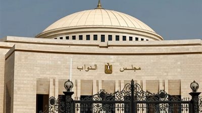 النواب يطالبون من الحكومة حوافز تشجيعية للمصريين بالخارج