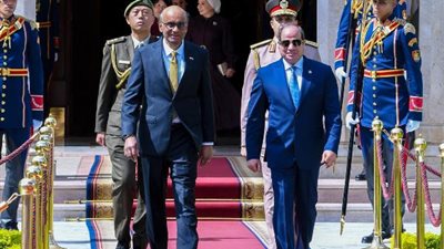 صور استقبال الرئيس السيسي وقرينته للرئيس السنغافوري وحرمه بقصر الاتحادية