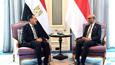 رئيس جمهورية سنغافورة يستقبل رئيس مجلس الوزراء