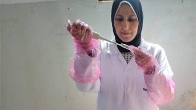 تحصين 3132 رأس ماشية ضد البروسيلا والسل البقرى بالشرقية