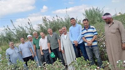 ندوة إرشادية للنهوض بمحصول القطن بالشرقية