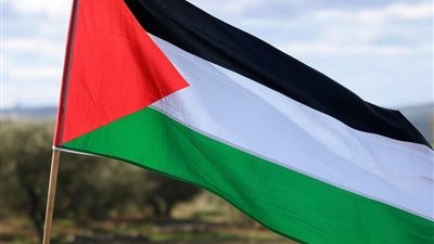 السعودية وقطر ترحبان بالاعتراف بدولة فلسطين