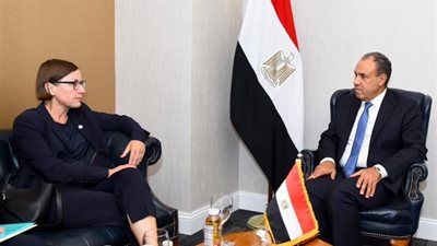 وزير الخارجية يستعرض جهود مصر لوقف الحرب على غزة