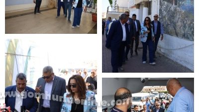 التنمية المحلية | تنظيم عمل السيارة التكنولوجية في جنوب سيناء