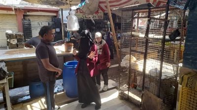 حملات توعية بيئية في سوق الجمعة بالإسماعيلية..صور