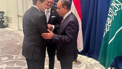 وزير الخارجية يؤكد لنظيره الأمريكي ضرورة تكثيف الجهود لوقف نزيف الدماء ومنع تهجير الفلسطينيين