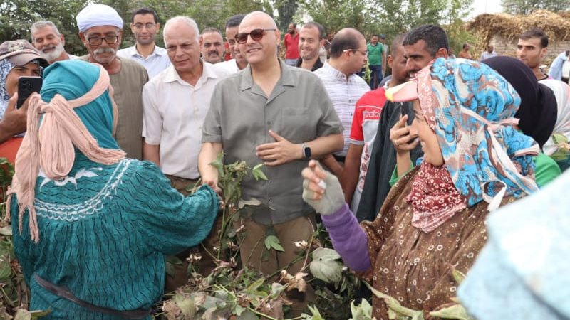 المهندس أيمن عطية