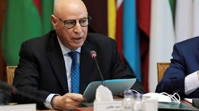 الأمين العام المساعد للجامعة العربية: فلسطين هي الاختبار الأصعب للأمم المتحدة