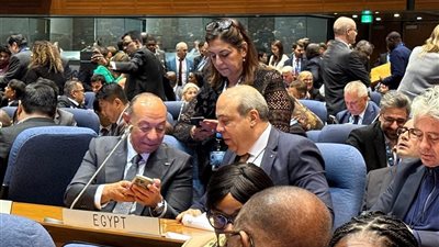 فوز متميز لمصر في انتخابات مجلس «الإيكاو» عن الفئة الثانية