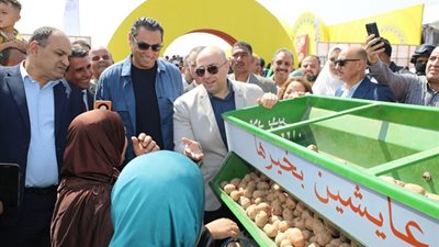 انطلاق الموسم السادس لزراعة البطاطس فى بنى سويف باستثمارات 2 مليون دولار