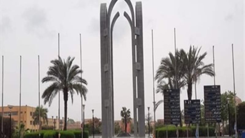 جامعة حلوان