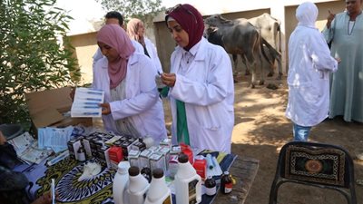 جامعة الفيوم تنظم قافلة بيطرية بقرية الناصرية بمركز الفيوم