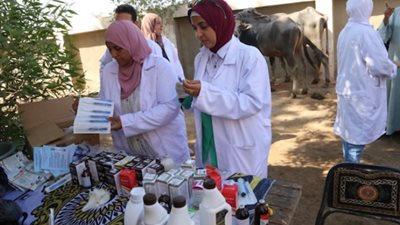 جامعة الفيوم .. تنظم قافلة بيطرية بقرية الناصرية بمركز الفيوم
