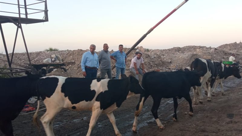 بوابة الجمهورية