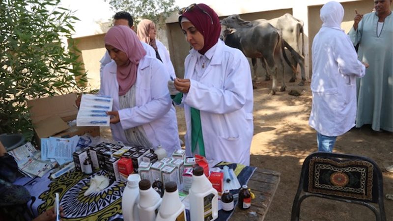 بوابة الجمهورية