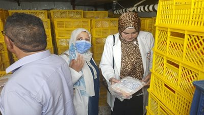 ضبط 15 طن بط ودواجن منتهية الصلاحية بالشرقية