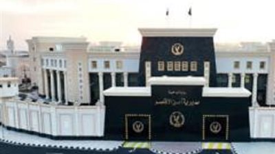 ضبط تشكيل عصابى تخصص فى الإتجار بالمخدرات بالأقصر