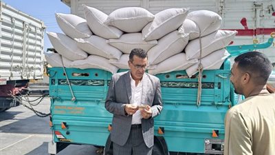 80 مليون رغيف تموينى و ٧٠٩ مخالفات بالأقصر خلال سبتمبر