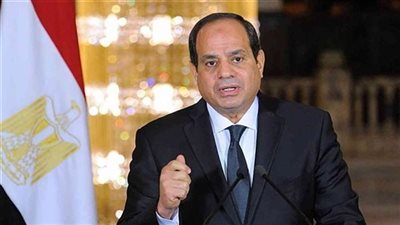 السيسي يوجه بالإسراع في استكمال التغذية الكهربائية لـ«الدلتا الجديدة»