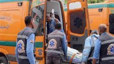 إصابة 5 باختناق بمبيد حشري في الداخلة بالوادي الجديد
