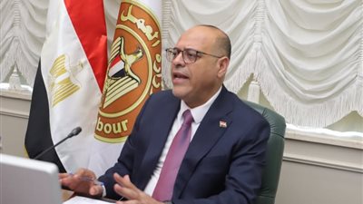 وزير العمل: سرعة تسجيل العمال الأجانب وتطبيق الأجور لتجنب العقوبات