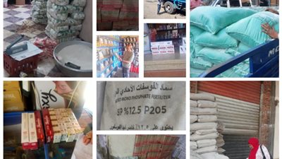 ضبط سلع مخالفة ومواد غذائية منتهية الصلاحية في حملة تموينية بالقليوبية