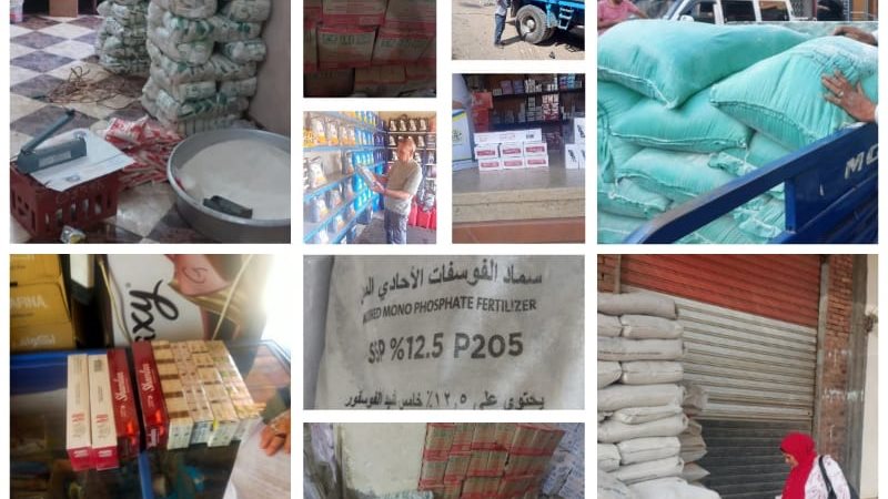 تموين القليوبية