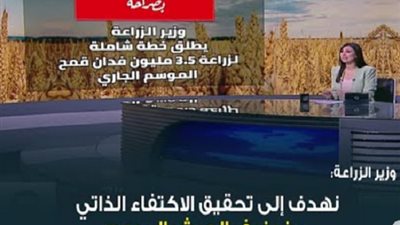 وزير الزراعة: الدولة نجحت في تحقيق نحو 60% من الاكتفاء الذاتي من القمح