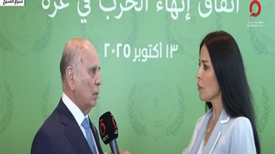 وزير الخارجية العراقي: قمة شرم الشيخ وضعت حدا للحرب على غزة