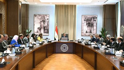 مدبولى يتابع الموقف التنفيذي لأعمال تطوير بحيرة البردويل