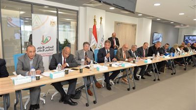 الأعلى للإعلام: تشكيل عدد من اللجان الفرعية.. وبدء العمل الأسبوع المقبل