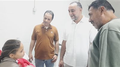 صحة شمال سيناء