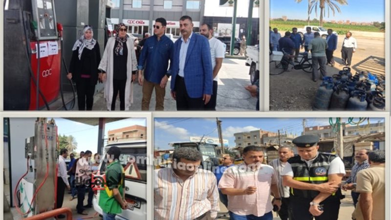 الديب والنمر خلال