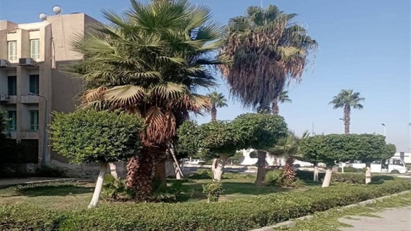 بوابة الجمهورية