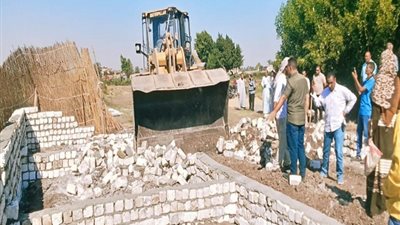 ازالة 393 حالة تعد على الاراضي الزراعيه وأملاك الدولة بالمنيا