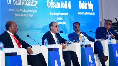 وزير الخارجية: حوكمة البحر الأحمر تظل شأنًا أصيلًا للدول المشاطئة
